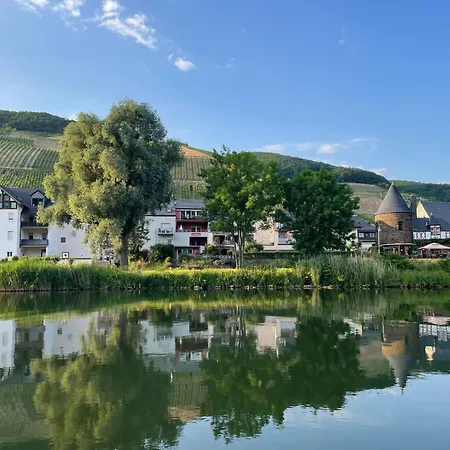 Weingut-gaestehaus-haas *