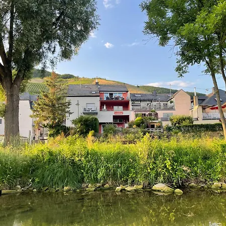 Weingut-gaestehaus-haas *