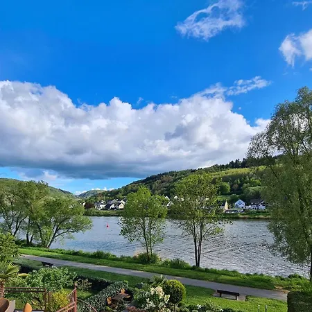 Weingut-gaestehaus-haas Zell an der Mosel