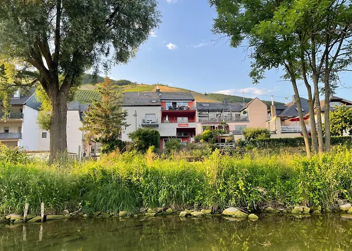 Weingut-gaestehaus-haas *