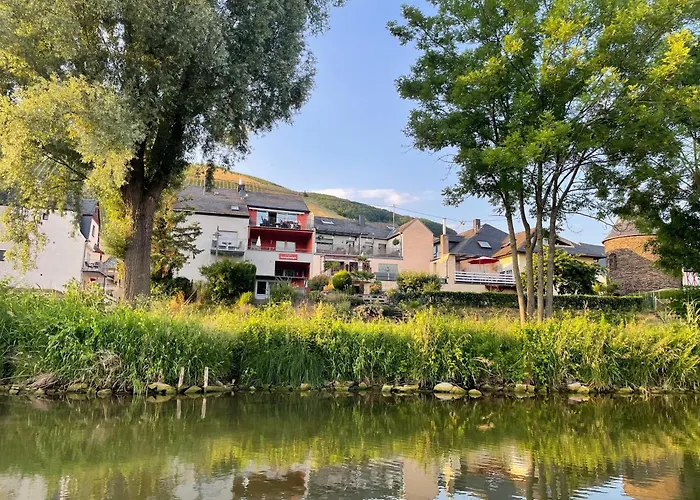Weingut-gaestehaus-haas * Zell an der Mosel