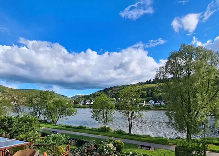 Weingut-gaestehaus-haas Zell an der Mosel